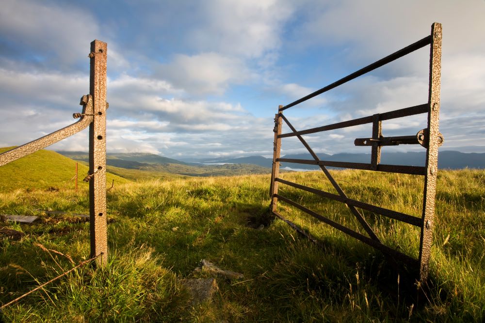 The programs featured image