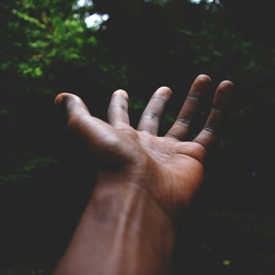 The programs featured image