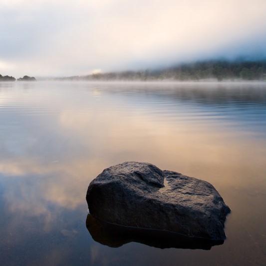 The programs featured image