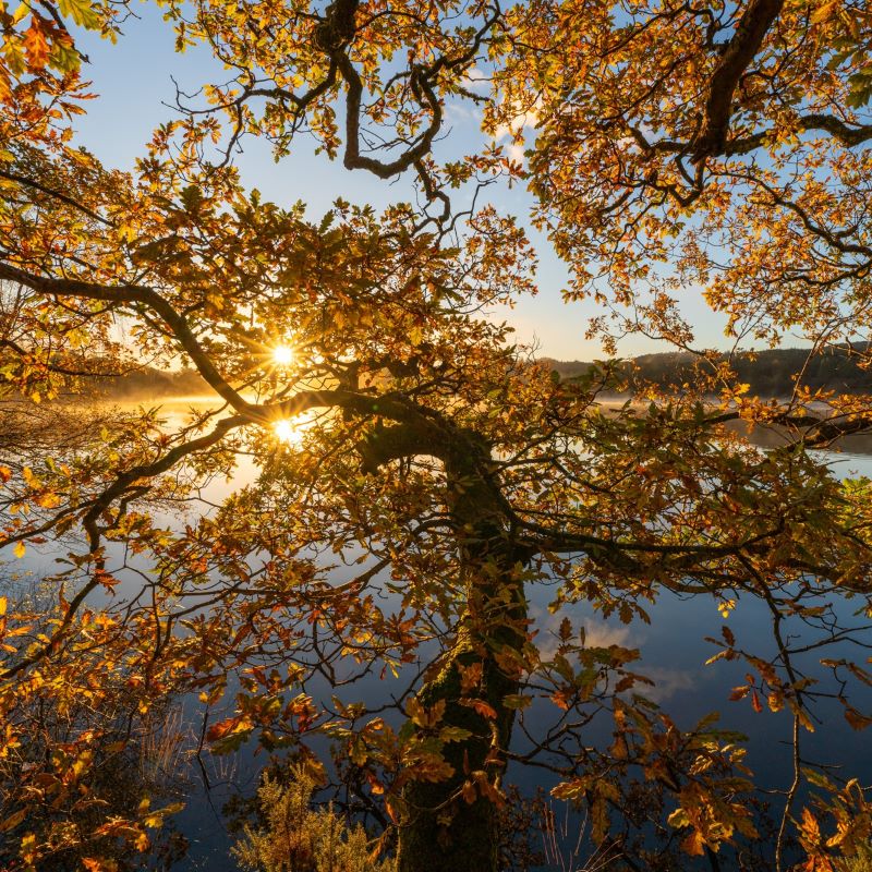 The programs featured image